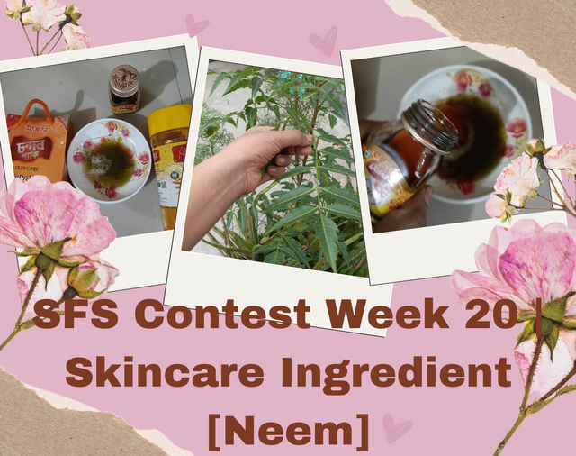 SFS Contest Week 20  Skincare Ingredient [Neem].png
